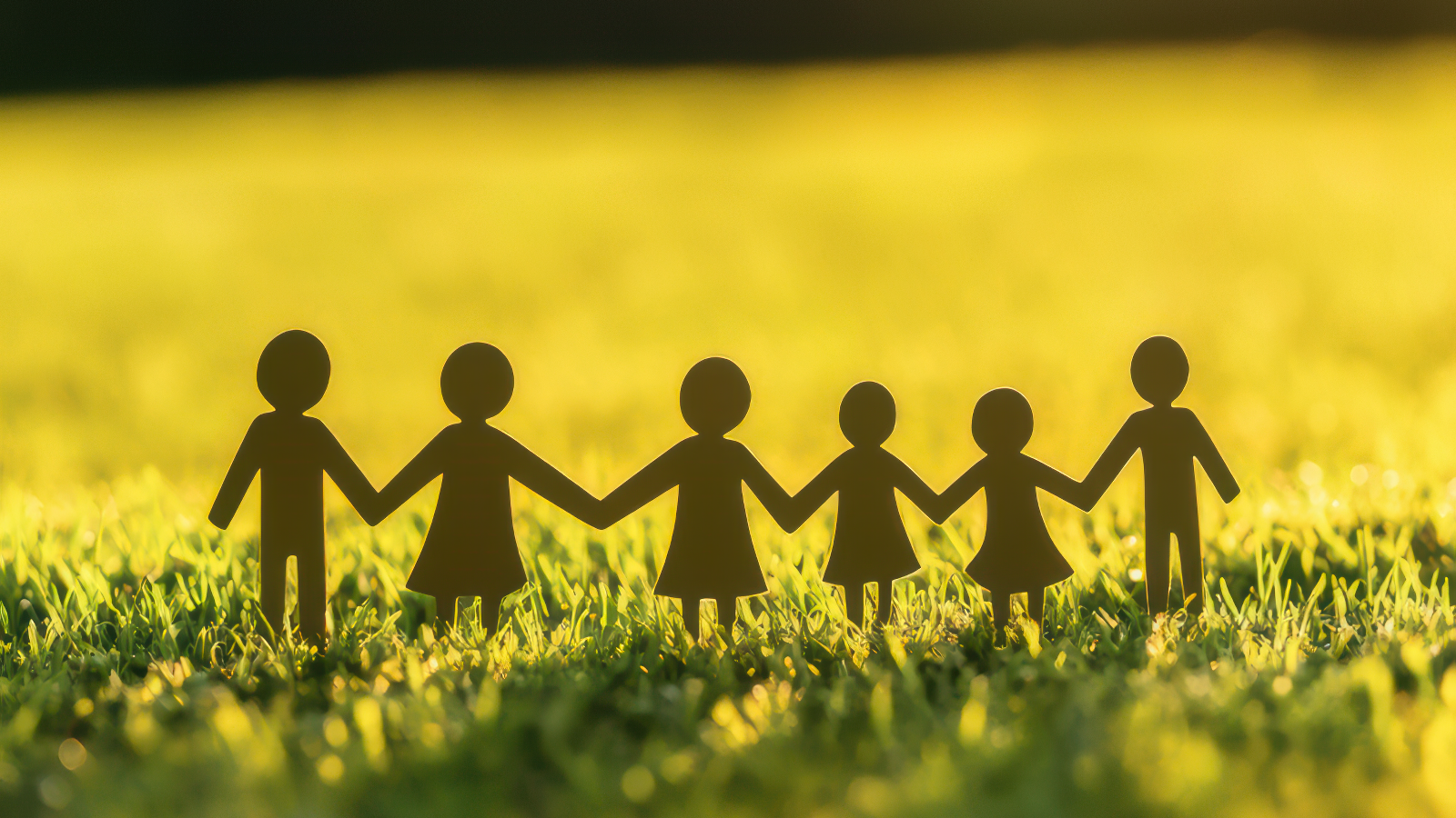 함께하는 사람들 사진