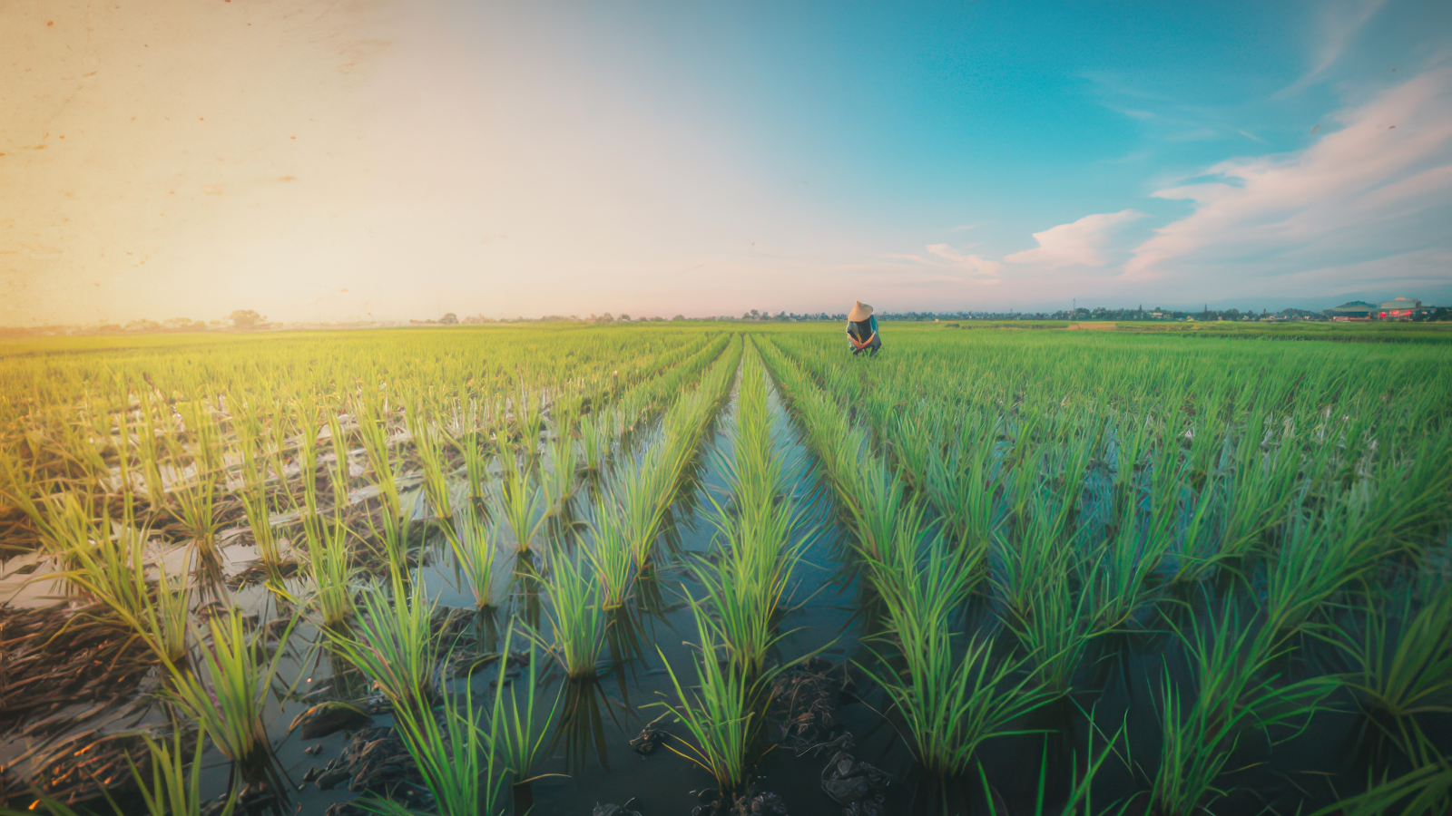 농장 전경 사진