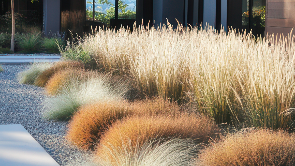 주거 정원 적용 이미지